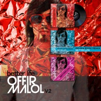 Better Life (Remixes) - Single - Offir Malol