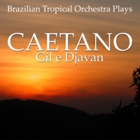 Brazilian Tropical Orchestra - Baby