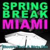 Laurent Brack How People Dance (Laurent Pepper Remix) Spring Break Miami 2010