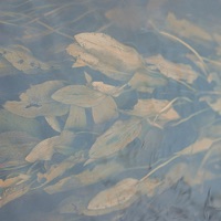 Listening Mirror - Outside Heaven