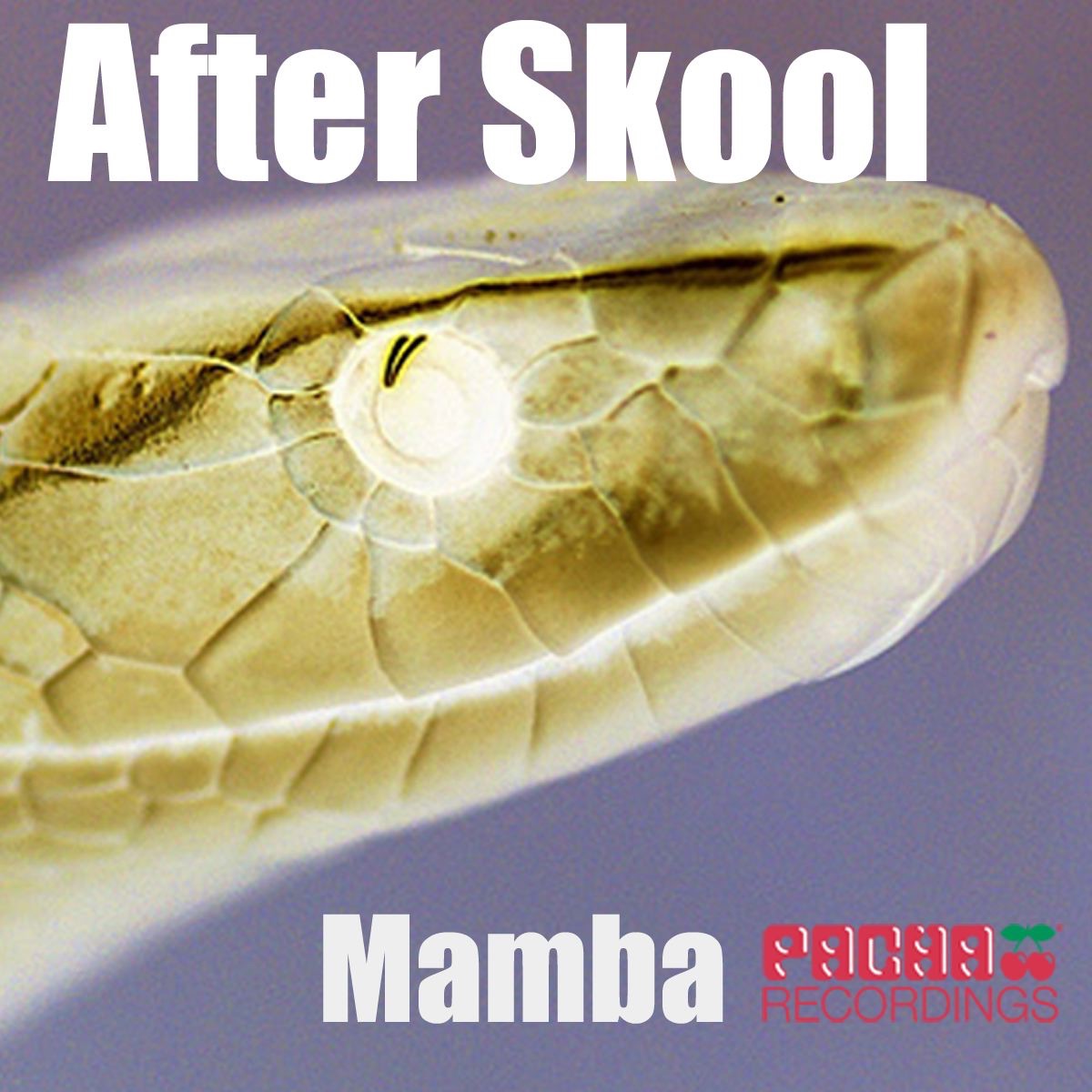 After Skool - Single