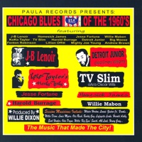 Jesse Fortune - Too Many Cooks