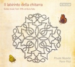 Il labirinto della chitarra