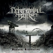 Cerebral Bore - The Bald Cadaver