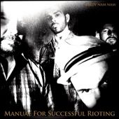 Manual for Successful Rioting artwork