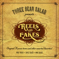Reels and Fakes by Three Bean Salad on Apple Music