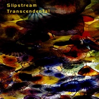Transcendental - Slipstream