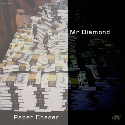 Paper Chaser - Single