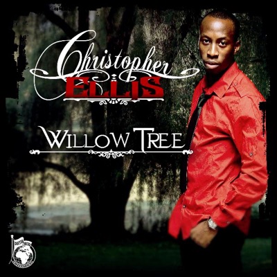 Willow Tree - Reggae