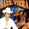 Corrido Del Sapo - Saul Viera El Gavilancillo lyrics