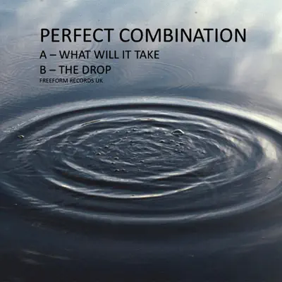 Listen to Perfect Combination - Single by Perfect Combination