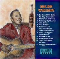 Jinx Blues - Big Joe Williams