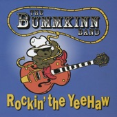 The BummKinn Band - I Dropped My Ice Cream