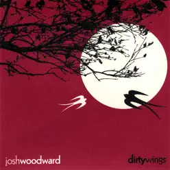 Dirty Wings - Josh Woodward