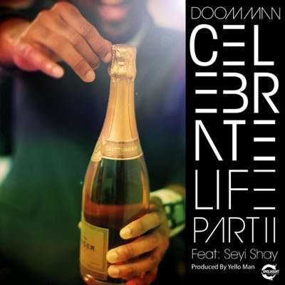 Celebrate Life Pt II - Single (feat. Seyi Shay) - Single