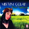 Icimde Sevdan Yara