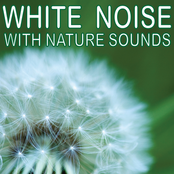 White Noise With Nature Sounds