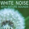 White Noise artwork