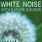 White Noise Stream - White Noise lyrics