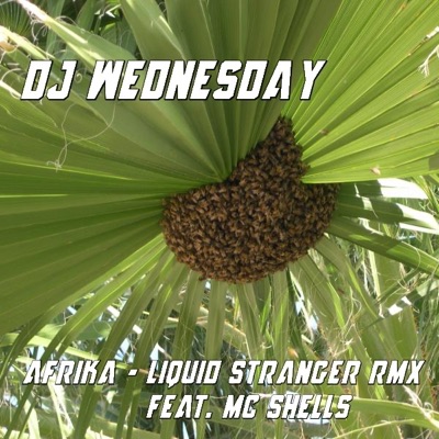 Afrika (feat. MC Shells) - Single