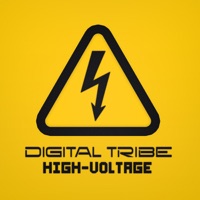 High Voltage - Single - Digital Tribe