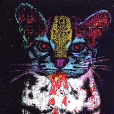 The Trucks - Shattered