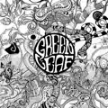 Case of Fidelity