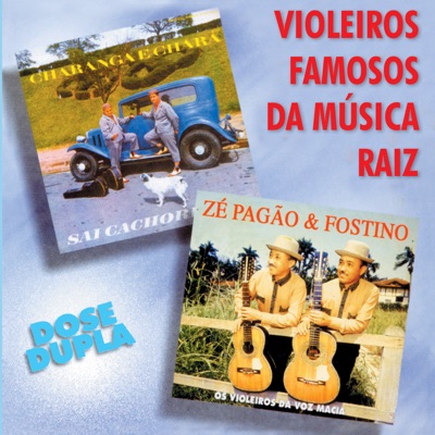 Violeiros Famosos da Musica Raiz