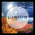 5 Elements 2007 (Tube Tonic & DJ Shandar Radio Remix)