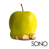 Playground - Vocal Group SONO