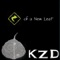 Bad Separation (Feat. Pastor Rodney Maidon) - Kzd lyrics
