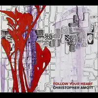 In The Pale Moonlight — Amott, Christopher