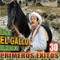 El Doctor Fonseca - Lalo El Gallo Elizalde lyrics