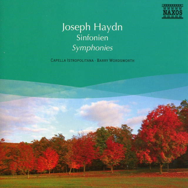 Symphony No. 45 in F-Sharp Minor, Hob. I:45, "Farewell": III. Menuetto: Allegretto