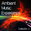 Various Artists - Ambient Music Experience, Vol. 2 artwork