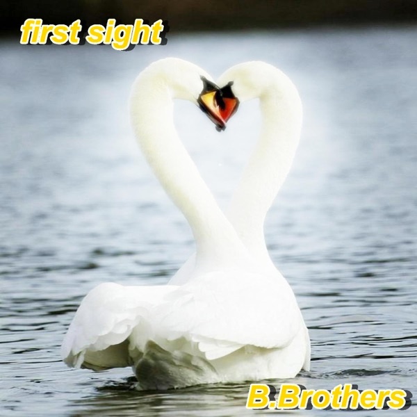 First Sight