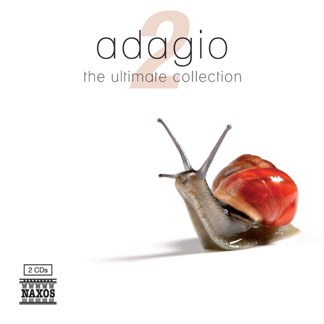 Violin Concerto No. 10 In B Minor: Adagio