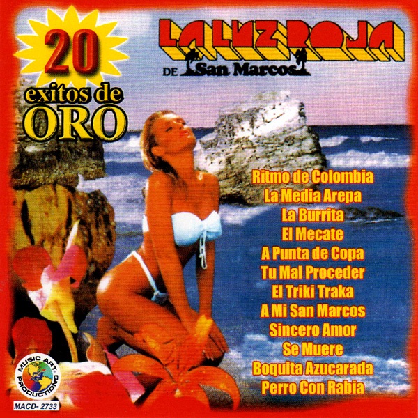 20 Exitos de Oro cover art