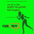 Body in glove (Joe DJ Summer mix)