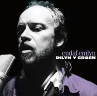 Macrall Wedi Ffrio — Endaf Emlyn