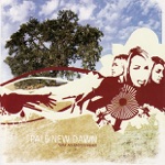 Pale New Dawn - Deadly Grey