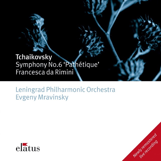 Tchaikovsky: Symphony No. 6 "Pathétique",  Francesca Da Rimini