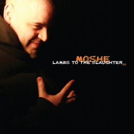 Ein Besserer Mensch (Remix) (feat. Audio88) Moshe