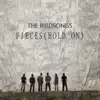 The Birdsongs - Pieces (Hold On)