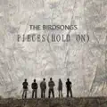 Pieces