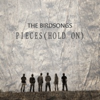 The Birdsongs - Pieces (Hold On)