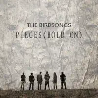 Pieces (Hold On) — The Birdsongs