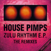 Zulu Nation (Andronicus Discus Remix)