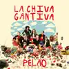 La Chiva Gantiva - Pelao