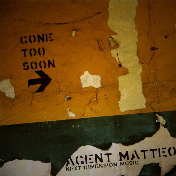 Album art for Gone Too Soon (Vlad Caia Harp Mix)